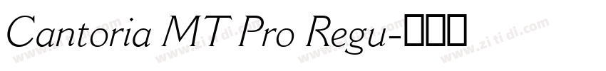Cantoria MT Pro Regu字体转换